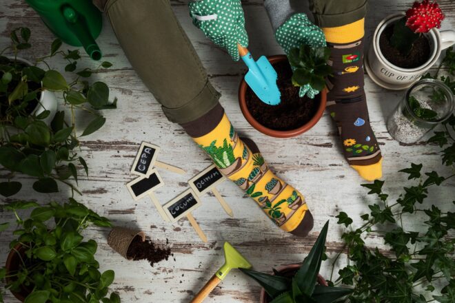Spox sox gardening 3 Erdbeerpunkt Online Shop Schweiz