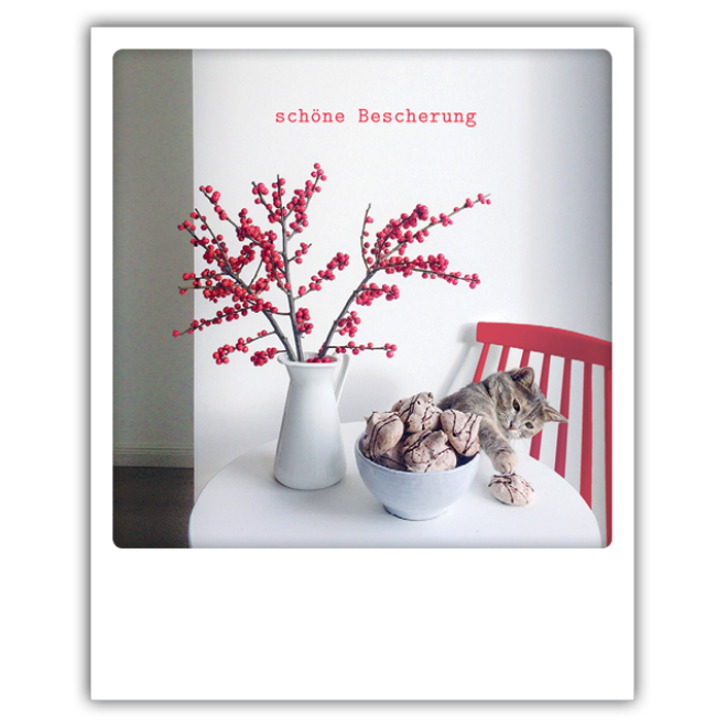 XM 0148 DE Erdbeerpunkt Online Shop Schweiz