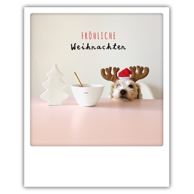 XM 0170 DE Erdbeerpunkt Online Shop Schweiz