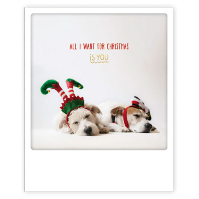 XM 0256 EN Erdbeerpunkt Online Shop Schweiz