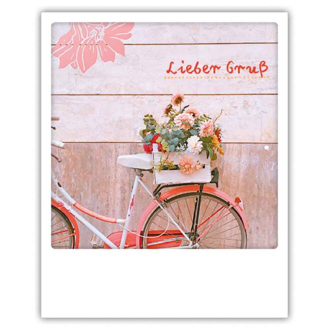 ZG 0689 DE Erdbeerpunkt Online Shop Schweiz