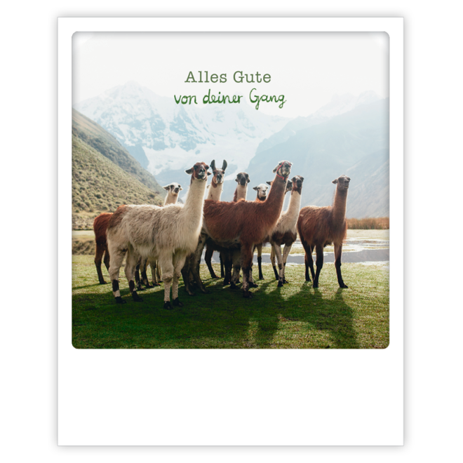 ZG 0900 DE Erdbeerpunkt Online Shop Schweiz