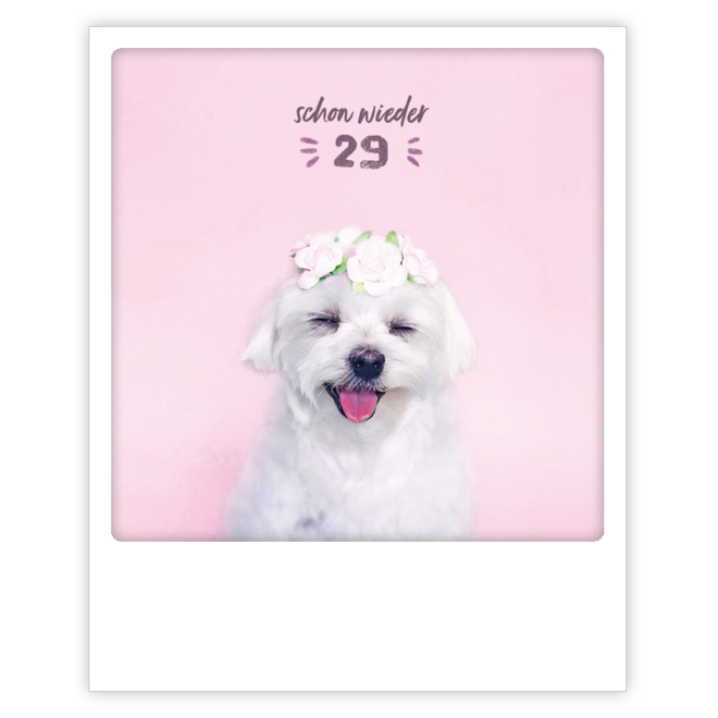 ZG 0933 DE Erdbeerpunkt Online Shop Schweiz