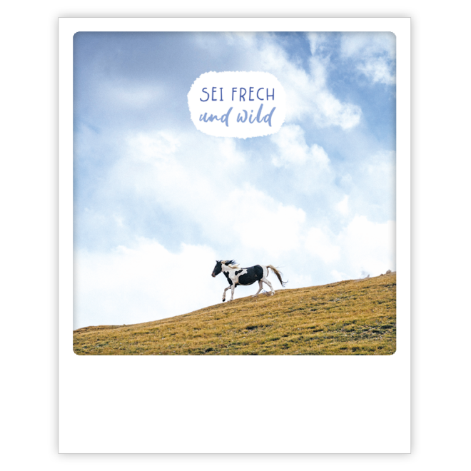 ZG 0942 DE Erdbeerpunkt Online Shop Schweiz