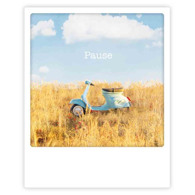 ZG 1290 DE Pi Mo Erdbeerpunkt Online Shop Schweiz