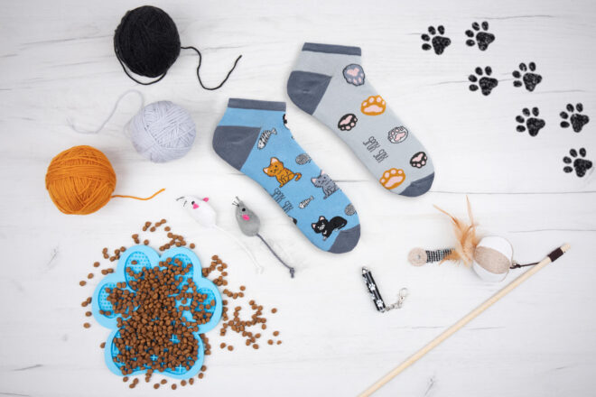 Cats low 6 Erdbeerpunkt Online Shop Schweiz