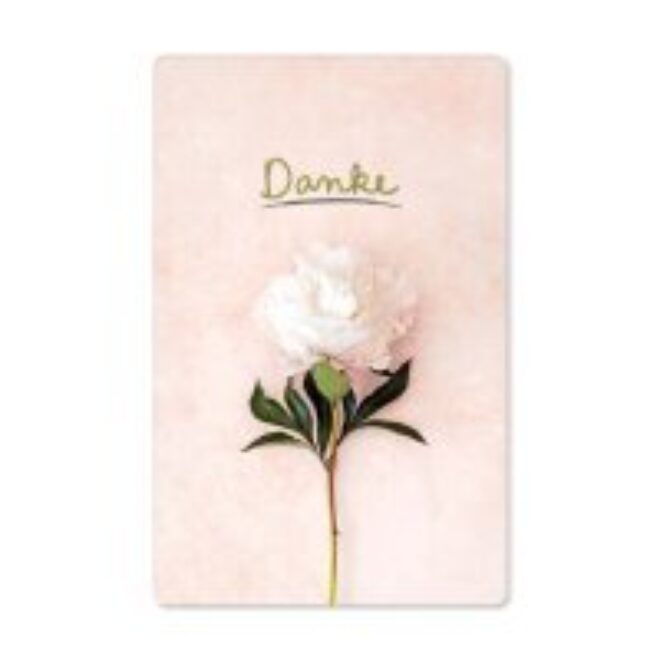 Danke weisse blume Erdbeerpunkt Online Shop Schweiz