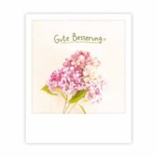 Gute besserung blumen 9 Erdbeerpunkt Online Shop Schweiz
