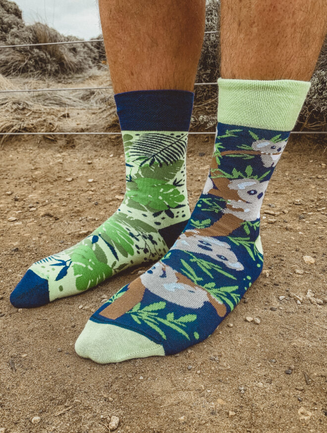 Koala kolorowe skarpetki nie do pary spox sox Erdbeerpunkt Online Shop Schweiz