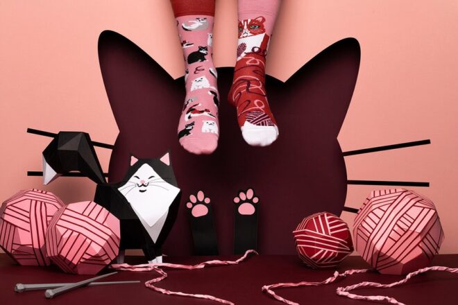 Mm playfulcat regular 1 900x1350 Erdbeerpunkt Online Shop Schweiz