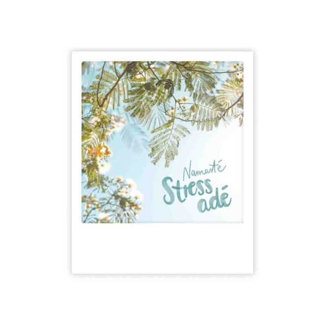 Namaste stress ade Erdbeerpunkt Online Shop Schweiz