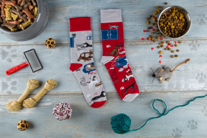 Pies i kot aranz spox sox 2048x1365 Erdbeerpunkt Online Shop Schweiz
