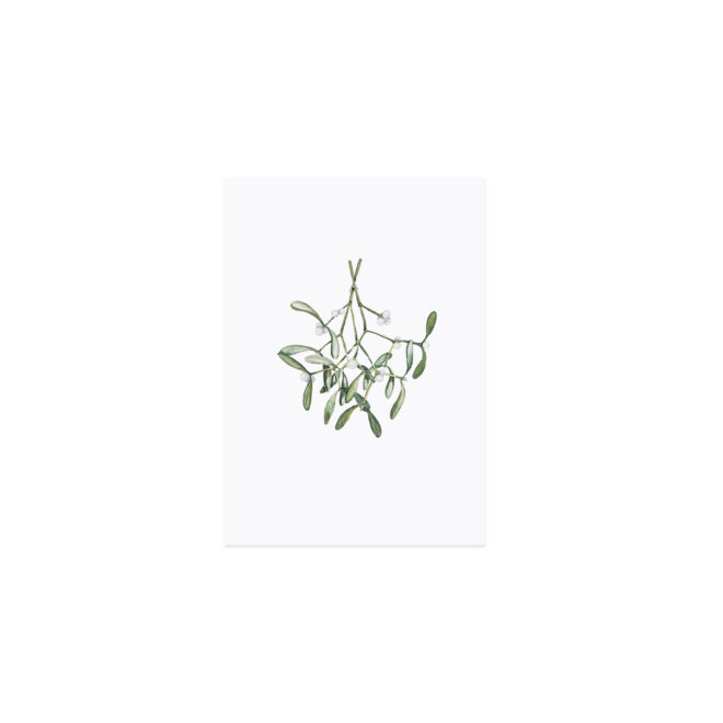 Pk 174 aquarellkarte mistletoe freisteller Erdbeerpunkt Online Shop Schweiz