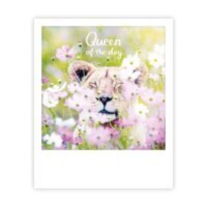 Queen of the day 18 Erdbeerpunkt Online Shop Schweiz