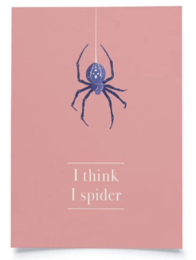 Spider1 Erdbeerpunkt Online Shop Schweiz