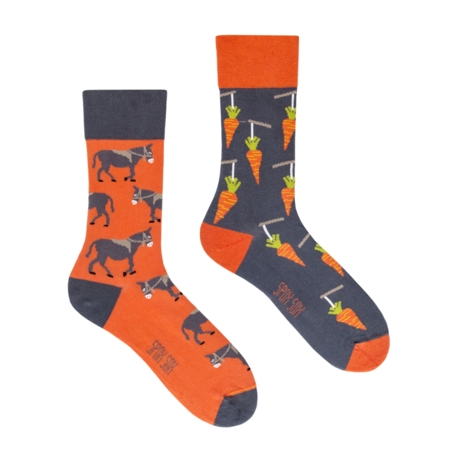 Uparty jak osiol kolorowe smieszne skarpetki casual Spox Sox Erdbeerpunkt Online Shop Schweiz