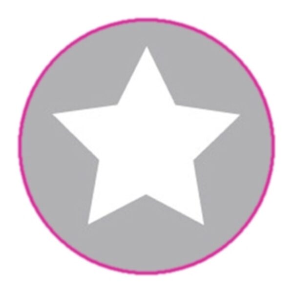 0000801 aufkleber stern silber Erdbeerpunkt Online Shop Schweiz