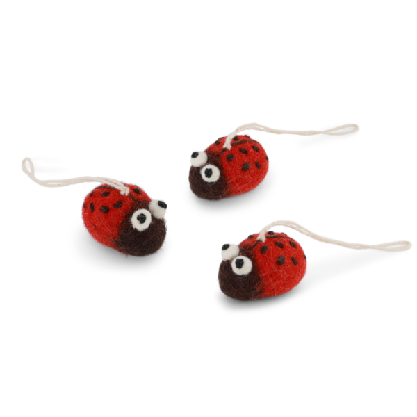 10835 Erdbeerpunkt Online Shop Schweiz