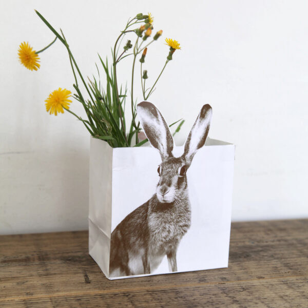 14041 Erdbeerpunkt Online Shop Schweiz