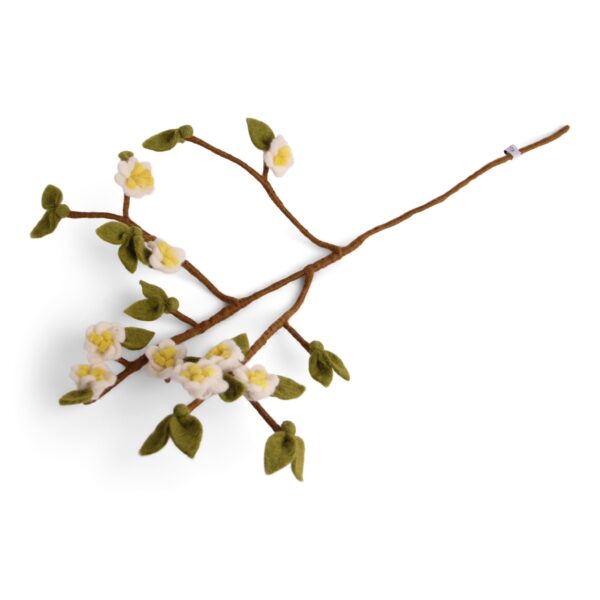 16212 Erdbeerpunkt Online Shop Schweiz