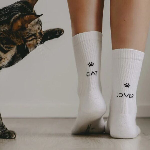 Cat 2 Erdbeerpunkt Online Shop Schweiz