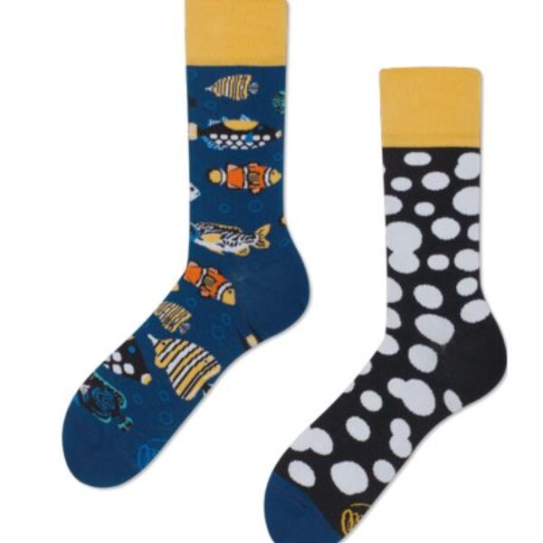 Tropical Fish Erdbeerpunkt Online Shop Schweiz