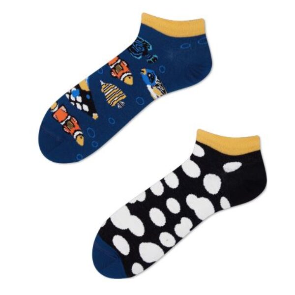 Tropical Fish Low Erdbeerpunkt Online Shop Schweiz