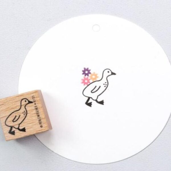 Gänseküken 1 Erdbeerpunkt Online Shop Schweiz