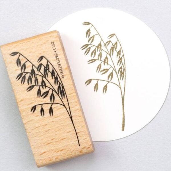 Windhafer Erdbeerpunkt Online Shop Schweiz