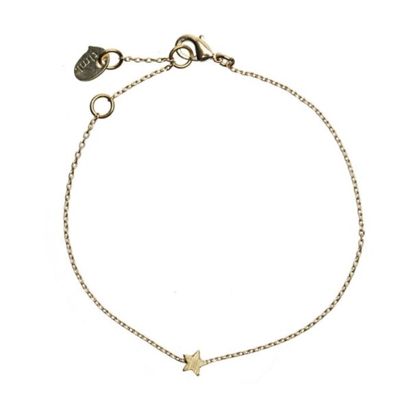 8260302 Erdbeerpunkt Online Shop Schweiz