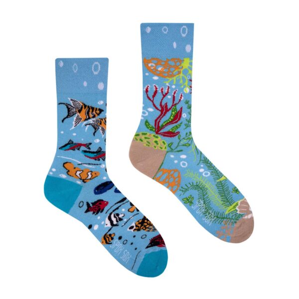 Aquarium 1 Erdbeerpunkt Online Shop Schweiz