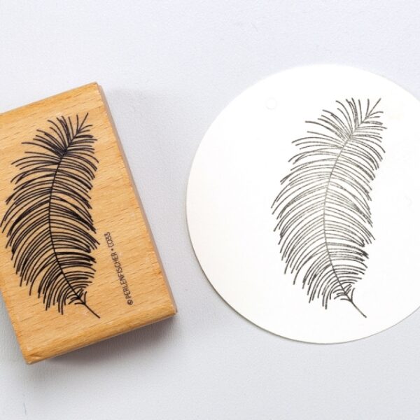 Feder fein C033 2 Erdbeerpunkt Online Shop Schweiz