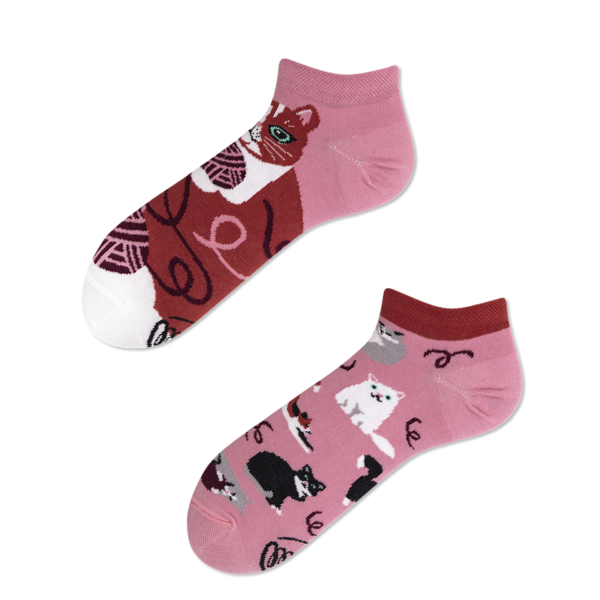 MM Playful Cat Low Packshot Erdbeerpunkt Online Shop Schweiz