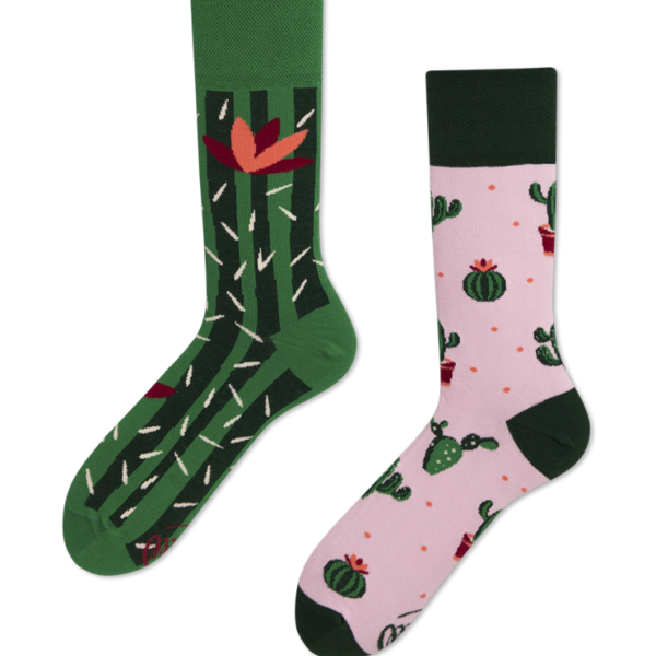 MM cactus 1 Erdbeerpunkt Online Shop Schweiz