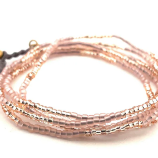 Rose Aprikose Erdbeerpunkt Online Shop Schweiz