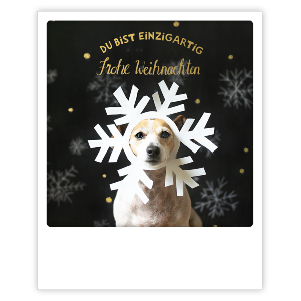 XM 0247 DE Erdbeerpunkt Online Shop Schweiz