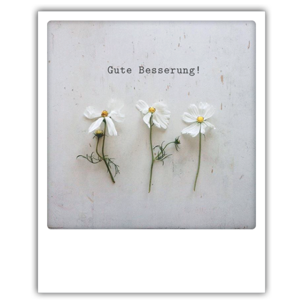 ZG 0214 DE Erdbeerpunkt Online Shop Schweiz
