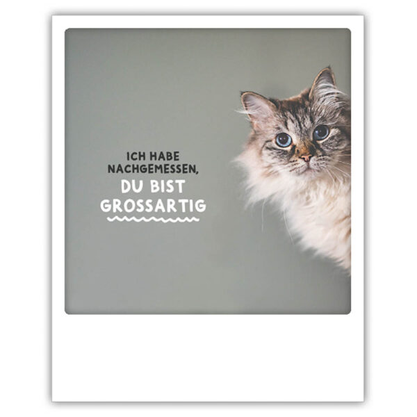 ZG 0702 DE du bist grossartig Erdbeerpunkt Online Shop Schweiz