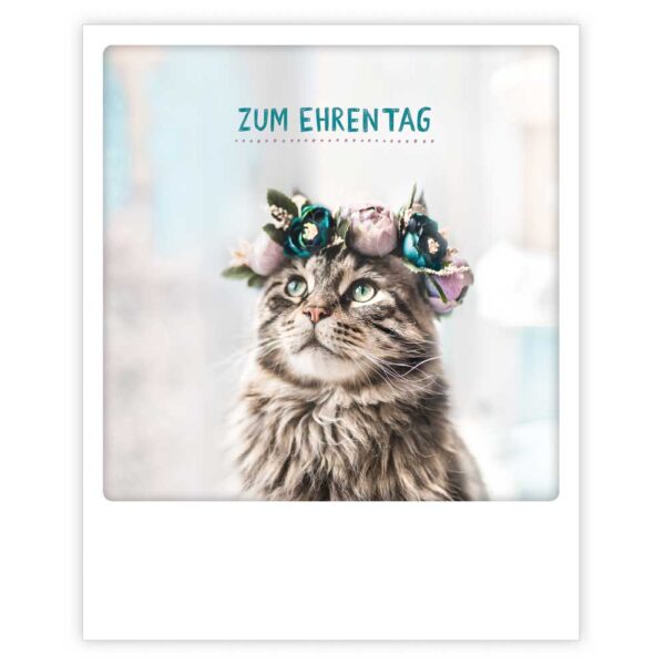 ZG 0781 DE Erdbeerpunkt Online Shop Schweiz