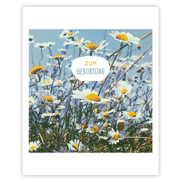 ZG 0821 DE Erdbeerpunkt Online Shop Schweiz