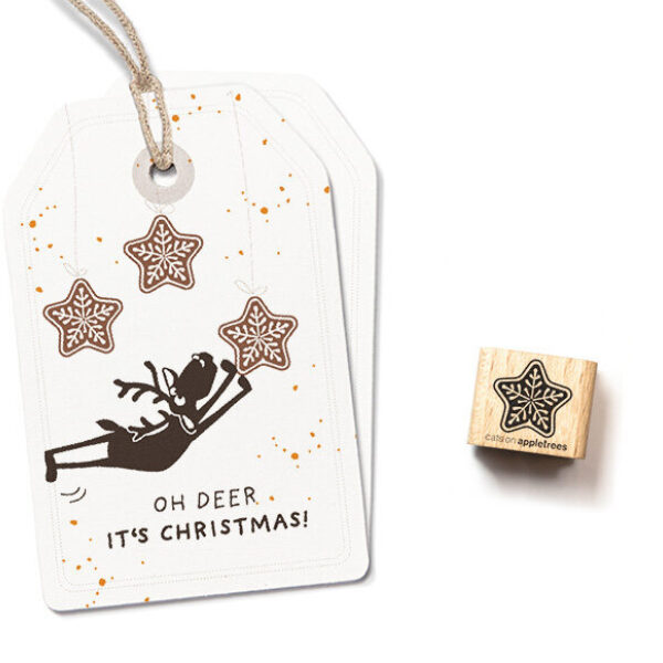 Ministempel lebkuchen 5 stern Erdbeerpunkt Online Shop Schweiz