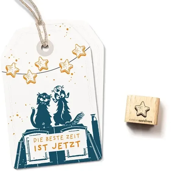 Ministempel zimtstern Erdbeerpunkt Online Shop Schweiz