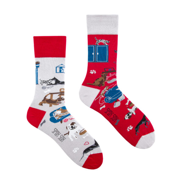 Pies z kotem kolorowe skarpetki Spox Sox Erdbeerpunkt Online Shop Schweiz