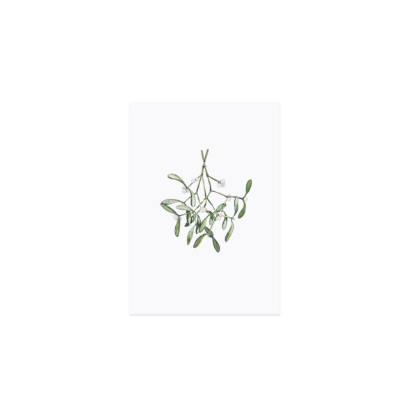 Pk 174 aquarellkarte mistletoe freisteller Erdbeerpunkt Online Shop Schweiz
