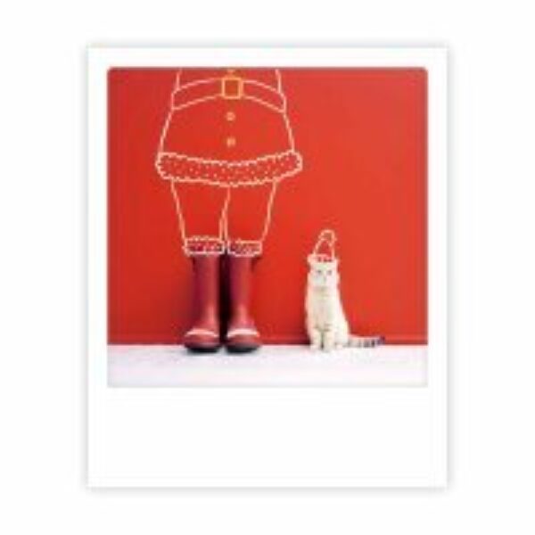 Santa cat Erdbeerpunkt Online Shop Schweiz