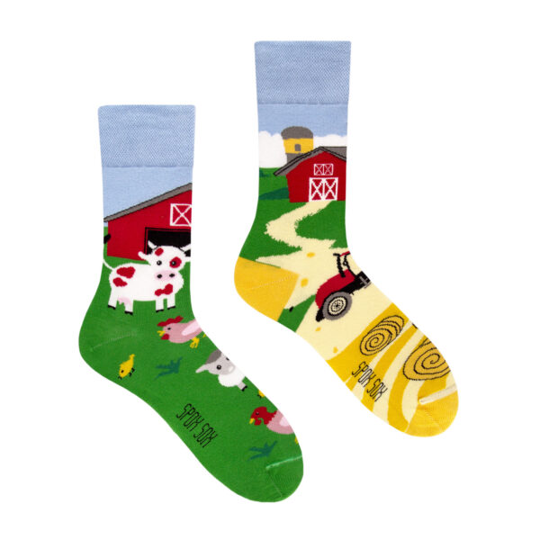 Sox farm Erdbeerpunkt Online Shop Schweiz