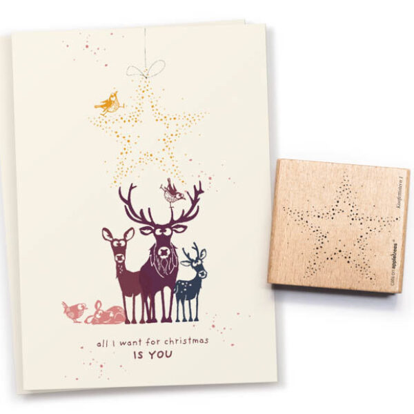 Stempel konfettistern 1 kontur 28094 Erdbeerpunkt Online Shop Schweiz