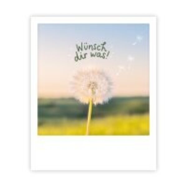 Wuensch dir was pusteblume 6 Erdbeerpunkt Online Shop Schweiz